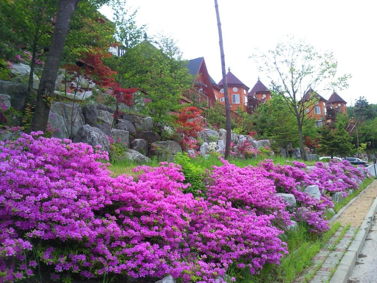 Elf Resort Hotel Pyeongchang Bagian luar foto