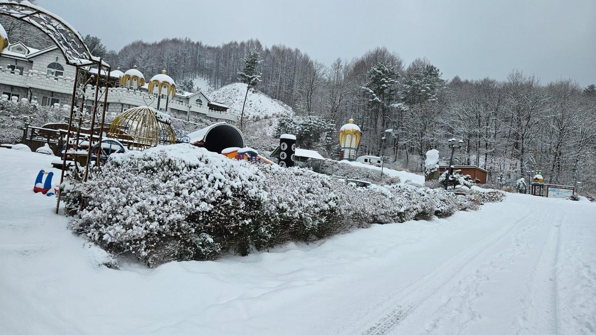 Elf Resort Hotel Pyeongchang Bagian luar foto